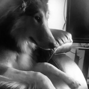 Meet your Posher, Chenpo